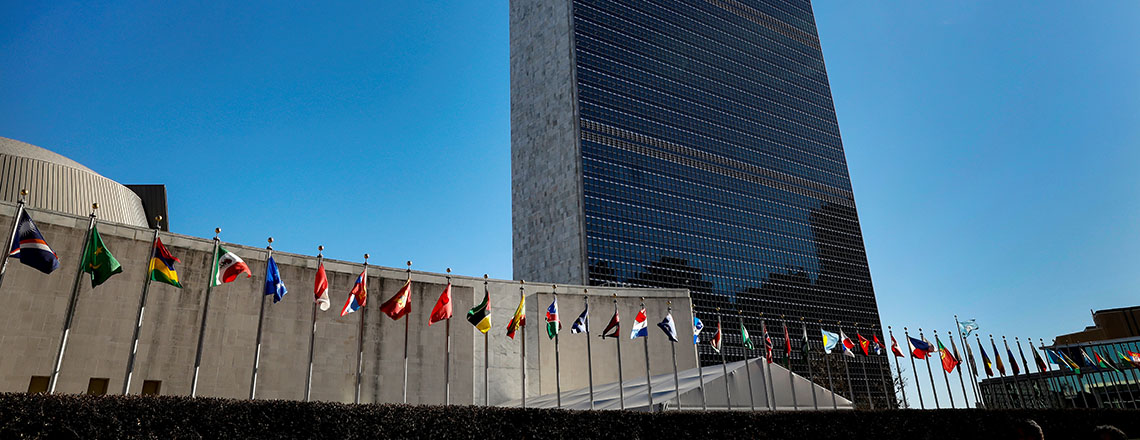 united-nations-flags